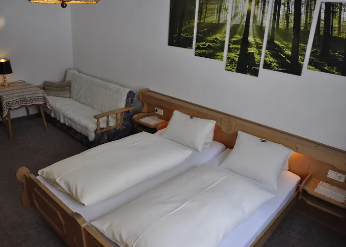 فندق Activ Bergfrieden 3*